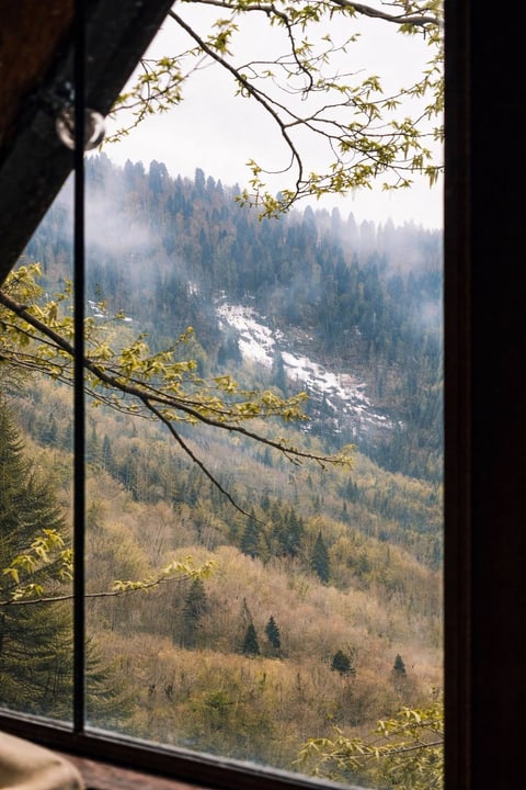 Вид на горы и лес из панорамного окна A-frame домика «Грань».